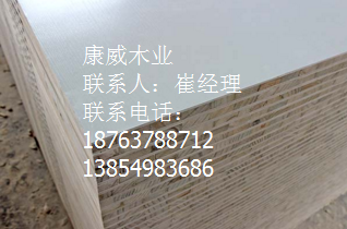 向日葵app下载安卓免费下载成人 向日葵app下载安卓免费下载成人